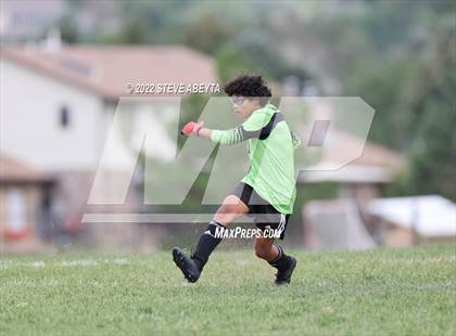 Thumbnail 2 in Fairview @ Grandview photogallery.