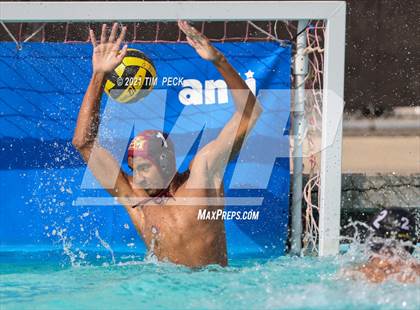 Thumbnail 1 in El Modena @ Villa Park photogallery.