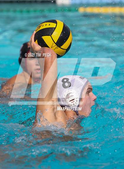 Thumbnail 2 in El Modena @ Villa Park photogallery.