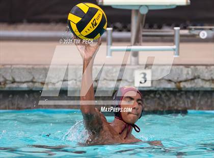 Thumbnail 3 in El Modena @ Villa Park photogallery.