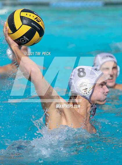 Thumbnail 1 in El Modena @ Villa Park photogallery.