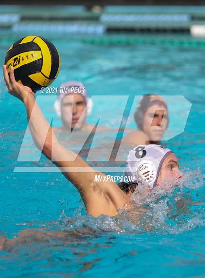 Thumbnail 3 in El Modena @ Villa Park photogallery.