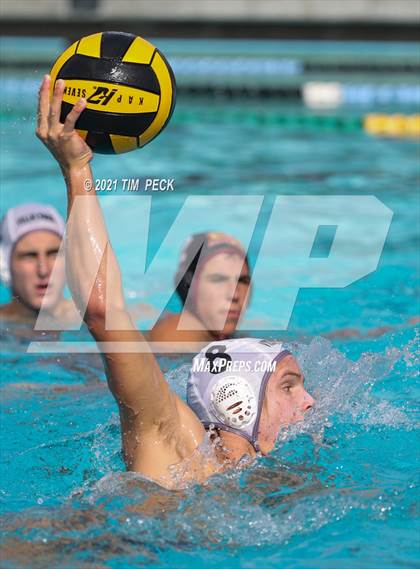 Thumbnail 2 in El Modena @ Villa Park photogallery.