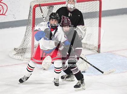 Thumbnail 1 in North Haven @ Fairfield Warde/Ludlowe photogallery.
