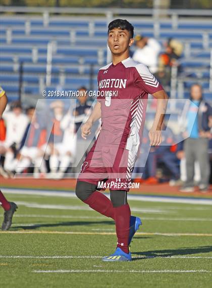 Thumbnail 2 in Oak Park-River Forest vs. Cicero Morton (IHSA 3A Riverside Sectional) photogallery.