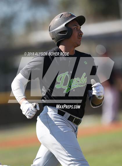Thumbnail 1 in TNXL Academy vs. George Jenkins (PBR Florida Preseason Classic) photogallery.