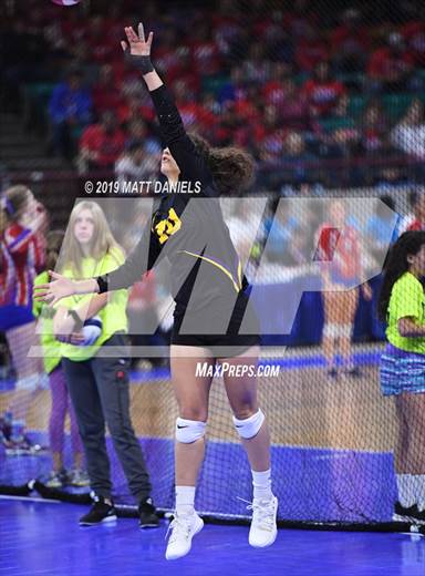null - Photo 01