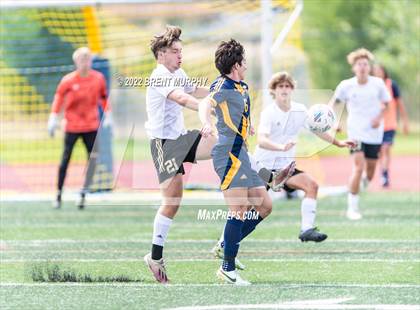 Thumbnail 1 in Golden @ Northfield photogallery.