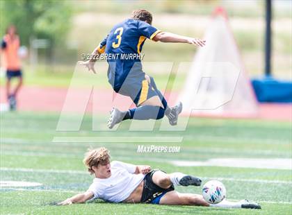 Thumbnail 1 in Golden @ Northfield photogallery.