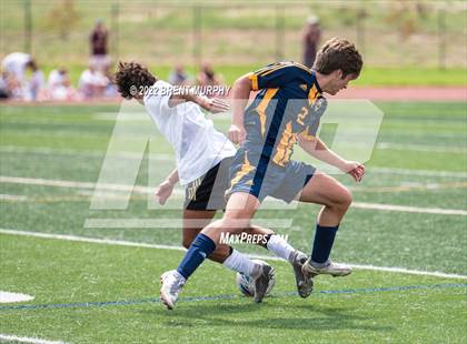 Thumbnail 2 in Golden @ Northfield photogallery.