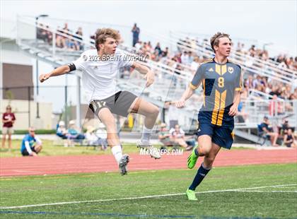 Thumbnail 3 in Golden @ Northfield photogallery.