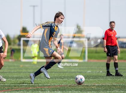 Thumbnail 1 in Golden @ Northfield photogallery.