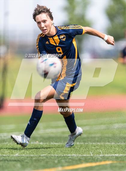 Thumbnail 2 in Golden @ Northfield photogallery.