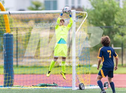 Thumbnail 2 in Golden @ Northfield photogallery.