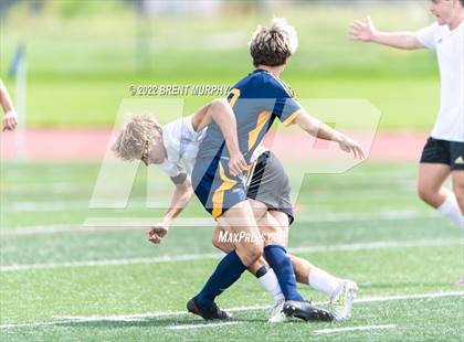 Thumbnail 1 in Golden @ Northfield photogallery.