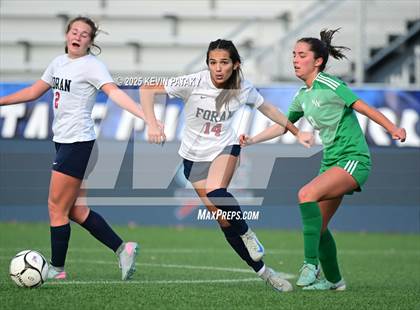 Thumbnail 1 in Foran vs. Northwest Catholic (CIAC Class M Final) photogallery.