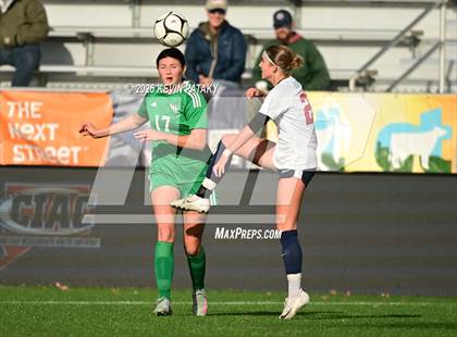 Thumbnail 1 in Foran vs. Northwest Catholic (CIAC Class M Final) photogallery.