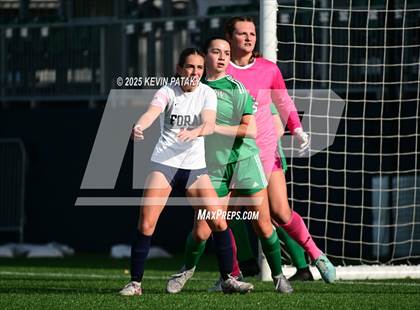 Thumbnail 2 in Foran vs. Northwest Catholic (CIAC Class M Final) photogallery.