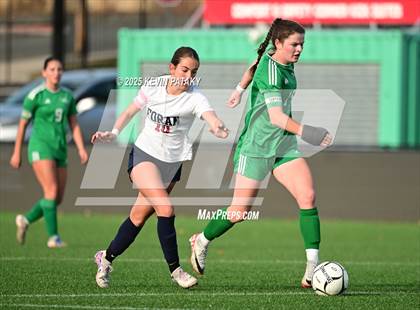 Thumbnail 1 in Foran vs. Northwest Catholic (CIAC Class M Final) photogallery.