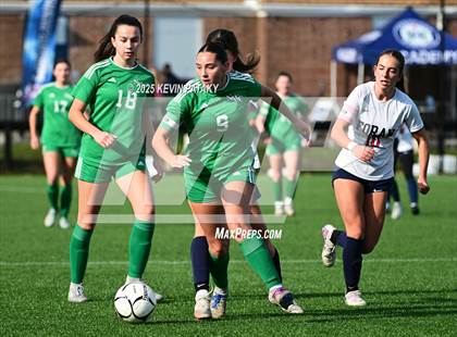 Thumbnail 1 in Foran vs. Northwest Catholic (CIAC Class M Final) photogallery.
