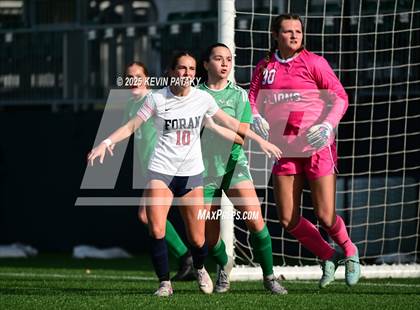 Thumbnail 3 in Foran vs. Northwest Catholic (CIAC Class M Final) photogallery.