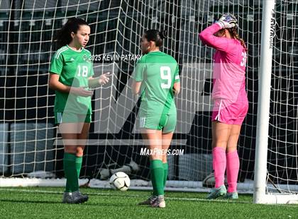 Thumbnail 1 in Foran vs. Northwest Catholic (CIAC Class M Final) photogallery.