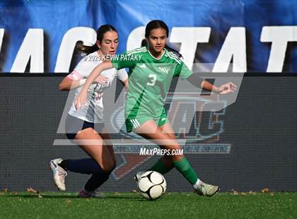 Thumbnail 2 in Foran vs. Northwest Catholic (CIAC Class M Final) photogallery.