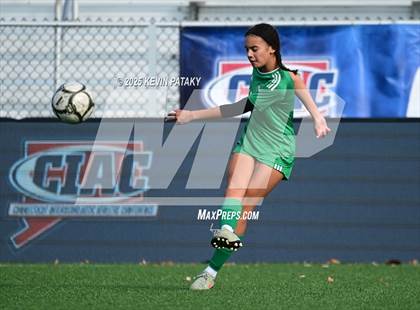 Thumbnail 2 in Foran vs. Northwest Catholic (CIAC Class M Final) photogallery.