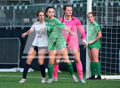 Thumbnail 3 in Foran vs. Northwest Catholic (CIAC Class M Final) photogallery.