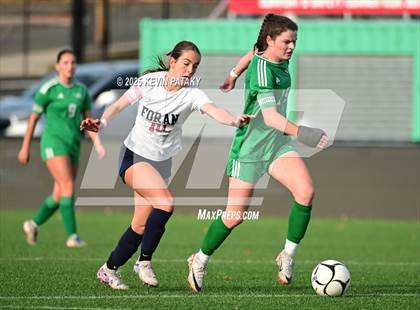 Thumbnail 3 in Foran vs. Northwest Catholic (CIAC Class M Final) photogallery.
