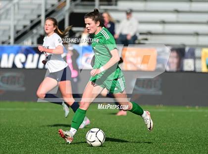 Thumbnail 1 in Foran vs. Northwest Catholic (CIAC Class M Final) photogallery.