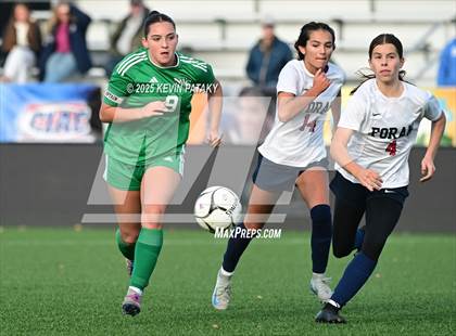 Thumbnail 2 in Foran vs. Northwest Catholic (CIAC Class M Final) photogallery.