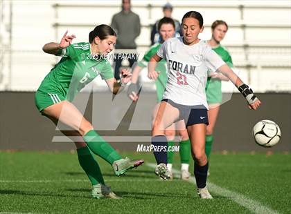 Thumbnail 3 in Foran vs. Northwest Catholic (CIAC Class M Final) photogallery.