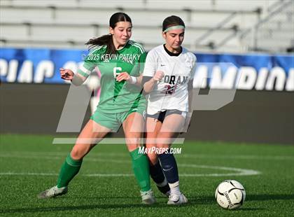Thumbnail 2 in Foran vs. Northwest Catholic (CIAC Class M Final) photogallery.