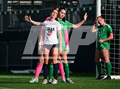 Thumbnail 1 in Foran vs. Northwest Catholic (CIAC Class M Final) photogallery.