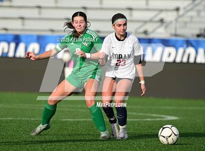 Thumbnail 3 in Foran vs. Northwest Catholic (CIAC Class M Final) photogallery.