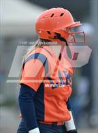 Photo from the gallery "Spanaway Lake @ Lakes"