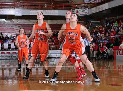Thumbnail 2 in Herrin @ Frankfort photogallery.
