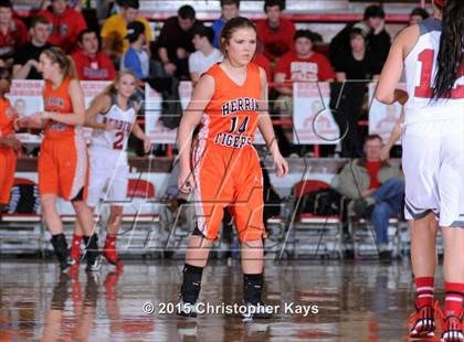 Thumbnail 3 in Herrin @ Frankfort photogallery.