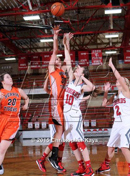 Thumbnail 1 in Herrin @ Frankfort photogallery.