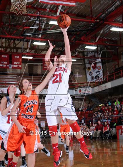Thumbnail 1 in Herrin @ Frankfort photogallery.