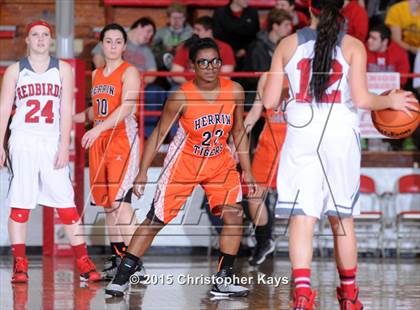 Thumbnail 3 in Herrin @ Frankfort photogallery.