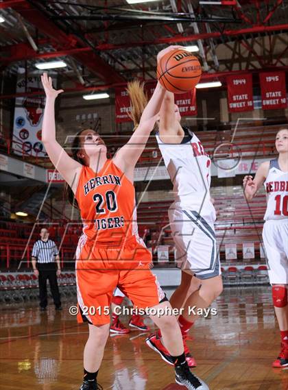 Thumbnail 3 in Herrin @ Frankfort photogallery.