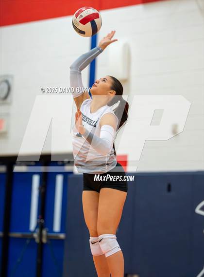 Thumbnail 1 in Gainesville @ Patriot (Cedar Run District Finals) photogallery.