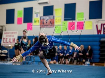 Thumbnail 2 in NYSPHSAA Championships 2015 photogallery.