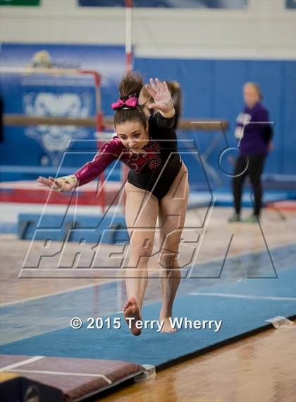 Thumbnail 2 in NYSPHSAA Championships 2015 photogallery.