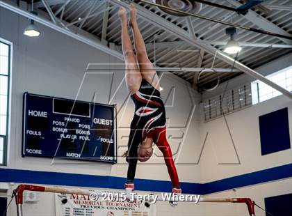 Thumbnail 1 in NYSPHSAA Championships 2015 photogallery.