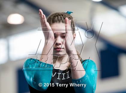 Thumbnail 3 in NYSPHSAA Championships 2015 photogallery.