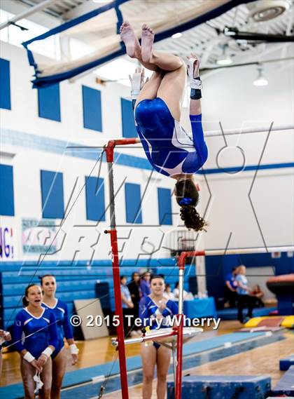 Thumbnail 1 in NYSPHSAA Championships 2015 photogallery.