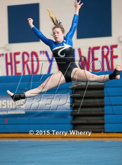 Thumbnail 3 in NYSPHSAA Championships 2015 photogallery.